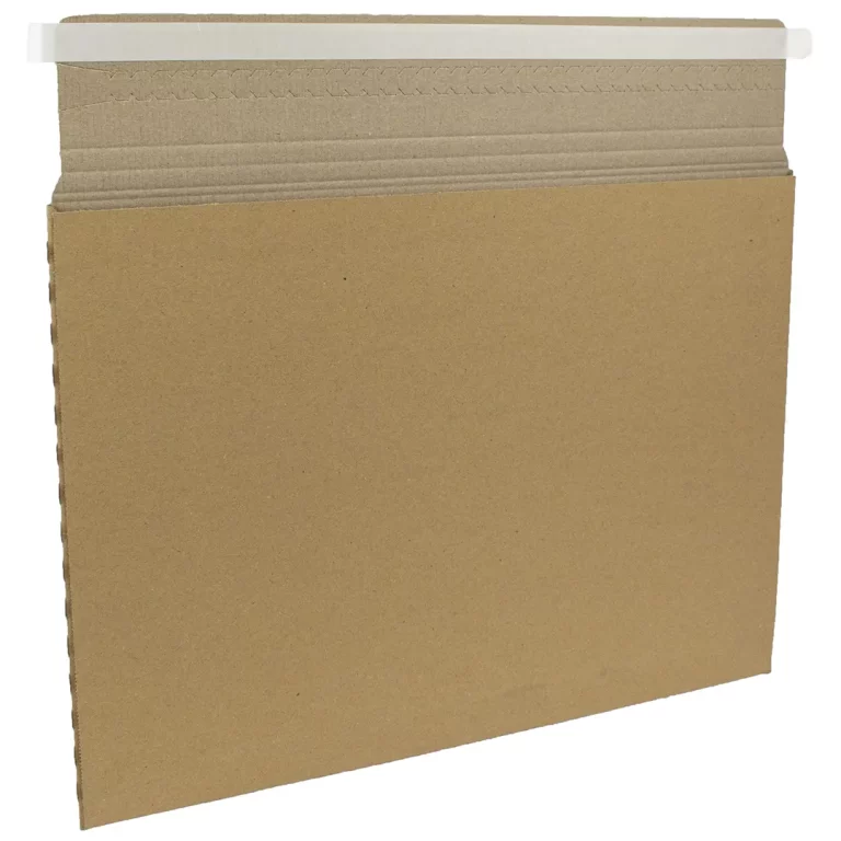 CE3 Cardboard Envelope