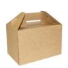 CP1-250x170x160mm-Carry-Pack-Gable-Box-scaled