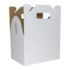 CP1 White 250x170x160mm Carry Pack Gable Box 2