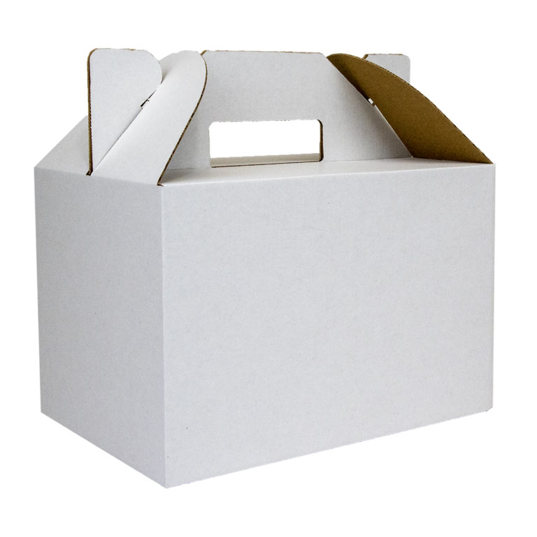 CP1 White 250x170x160mm Carry Pack Gable Box