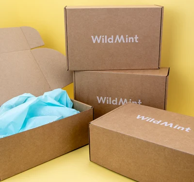 Blog Featured Image WildMint Cosmetics